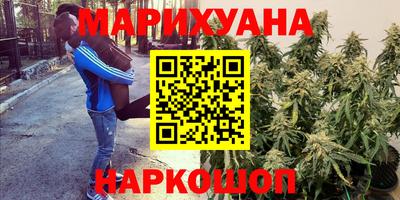 МДПВ Лесосибирск