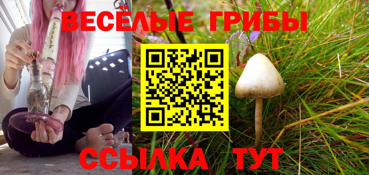 Псилоцибиновые грибы мицелий  Вход с VPN  Вязьма 